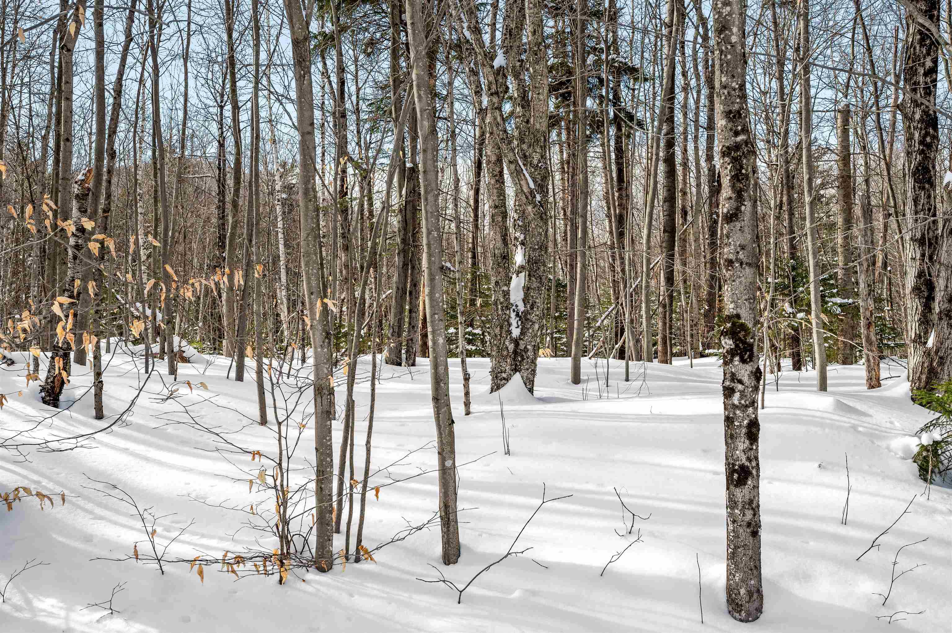 1984 West Hill Road, Unit 2 Warren, VT 05674 - Photo 12 of 22