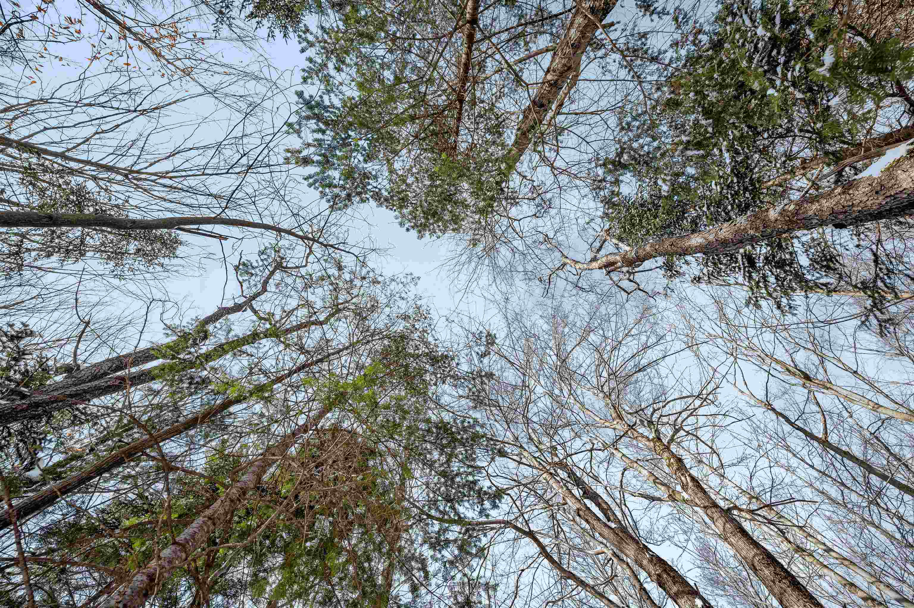 1984 West Hill Road, Unit 2 Warren, VT 05674 - Photo 13 of 22