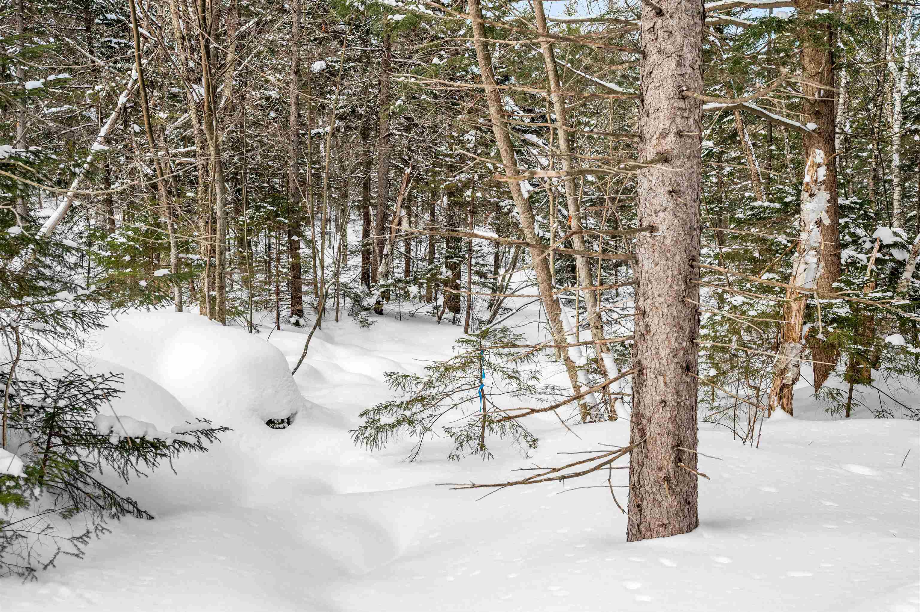 1984 West Hill Road, Unit 2 Warren, VT 05674 - Photo 14 of 22