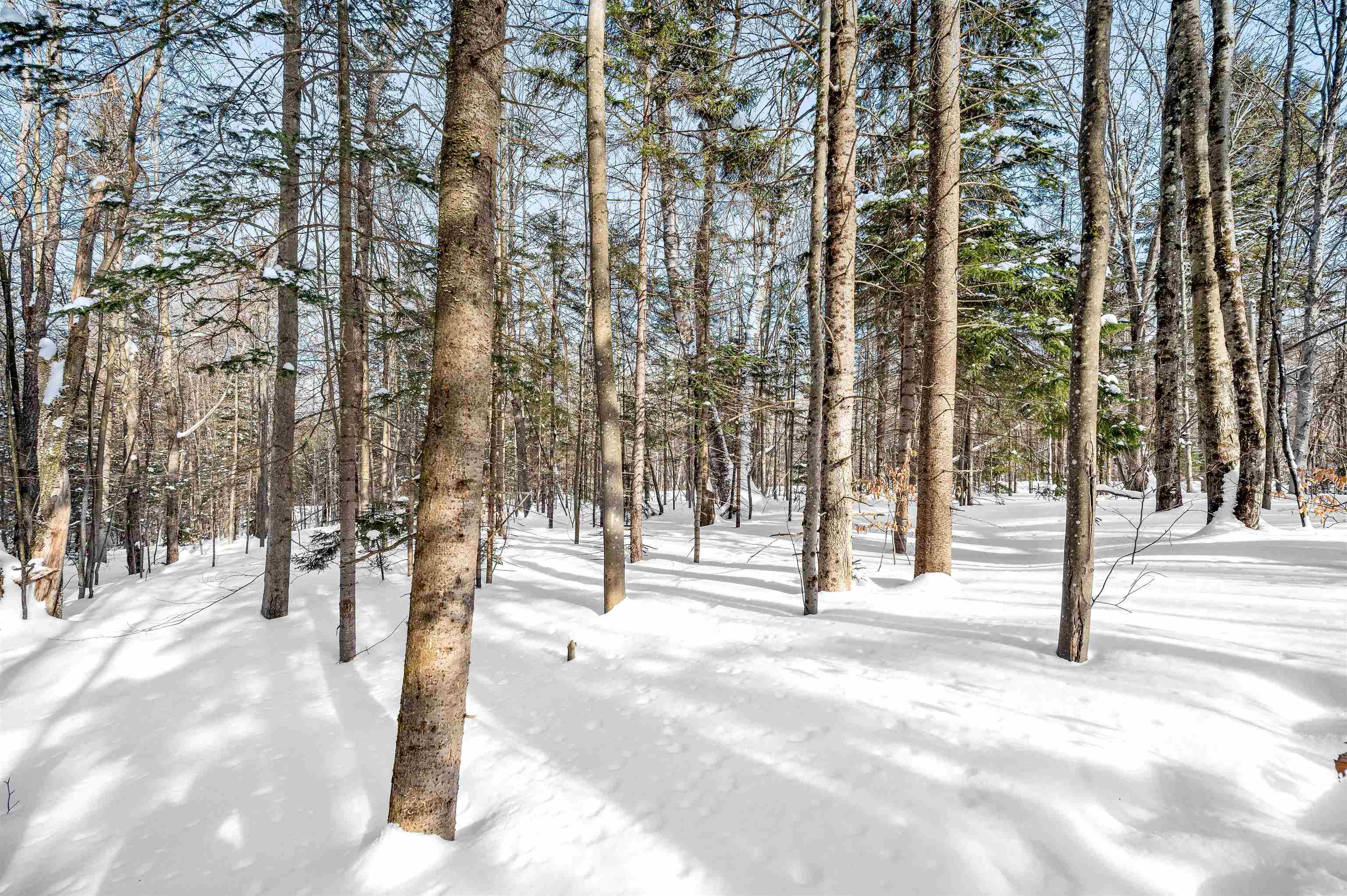 1984 West Hill Road, Unit 2 Warren, VT 05674 - Photo 15 of 22