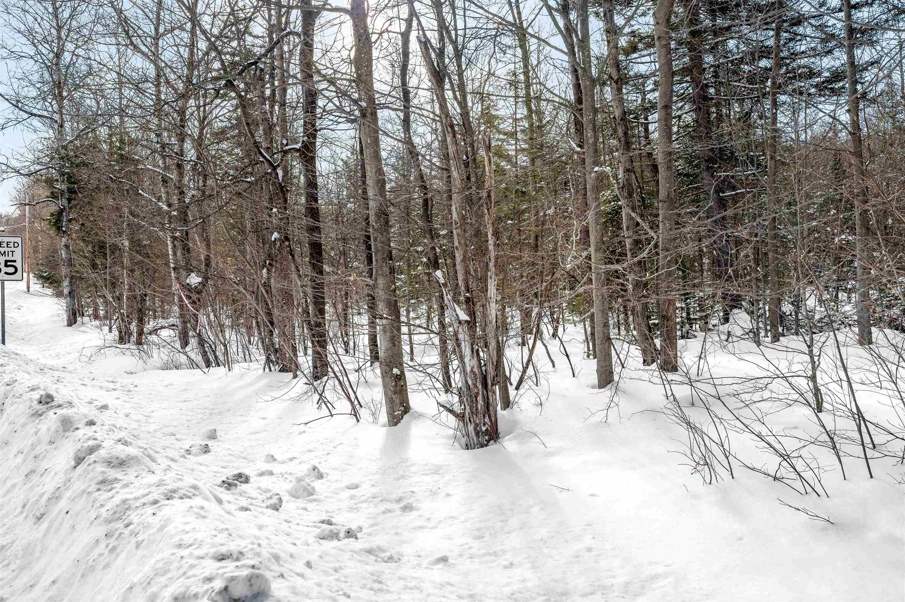 1984 West Hill Road, Unit 2 Warren, VT 05674 - Photo 16 of 22