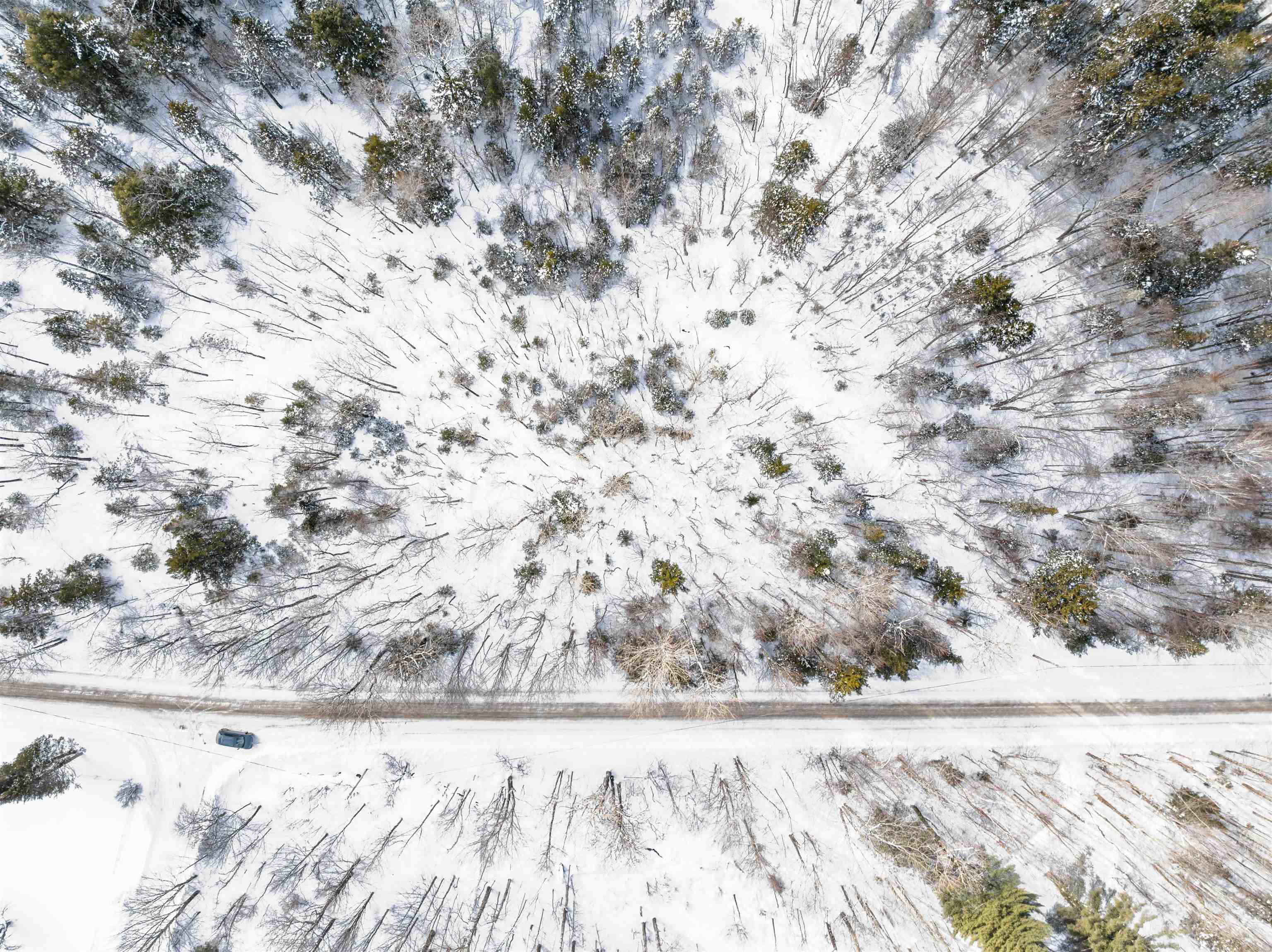 1984 West Hill Road, Unit 2 Warren, VT 05674 - Photo 18 of 22