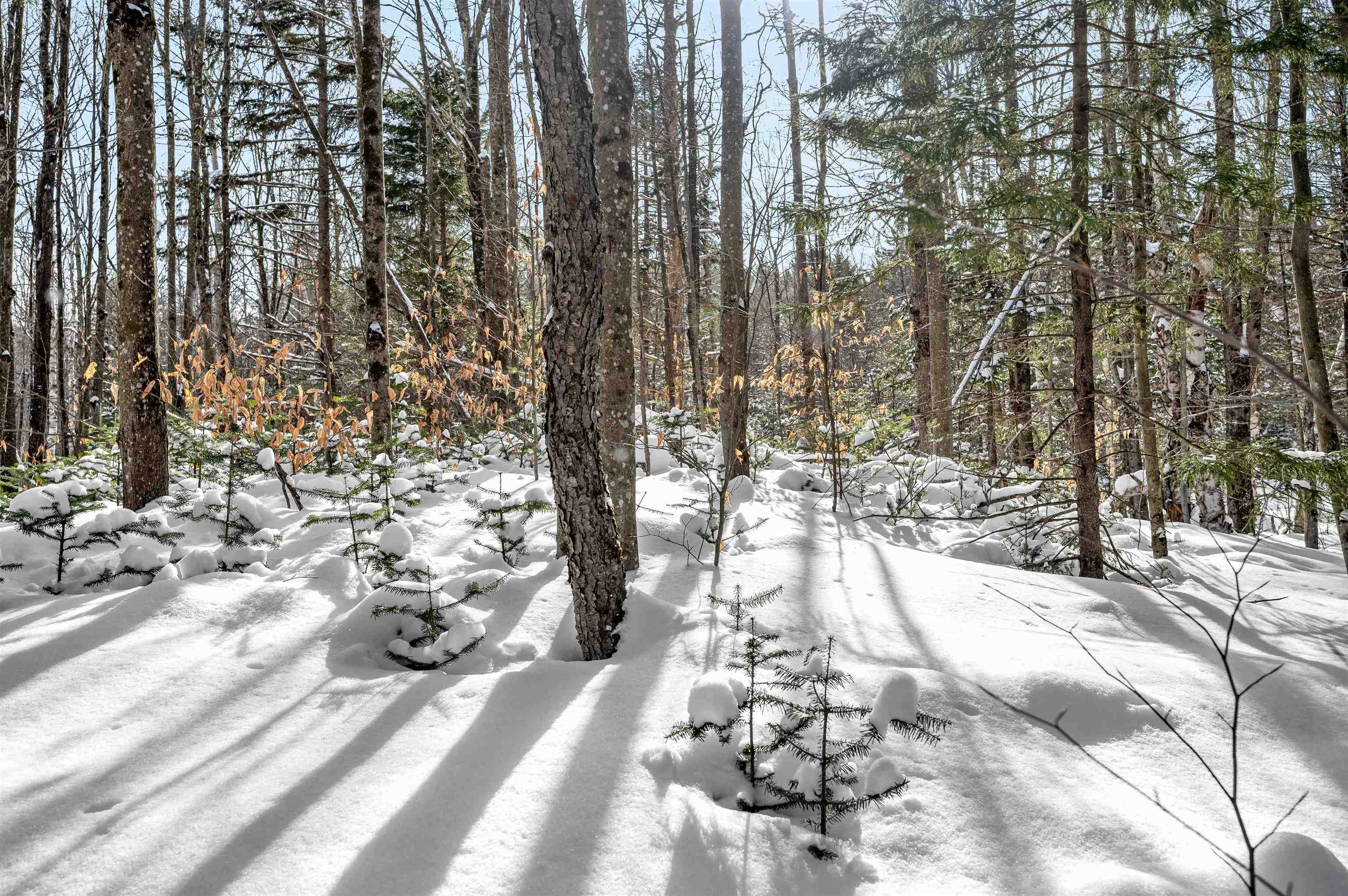 1984 West Hill Road, Unit 2 Warren, VT 05674 - Photo 2 of 22