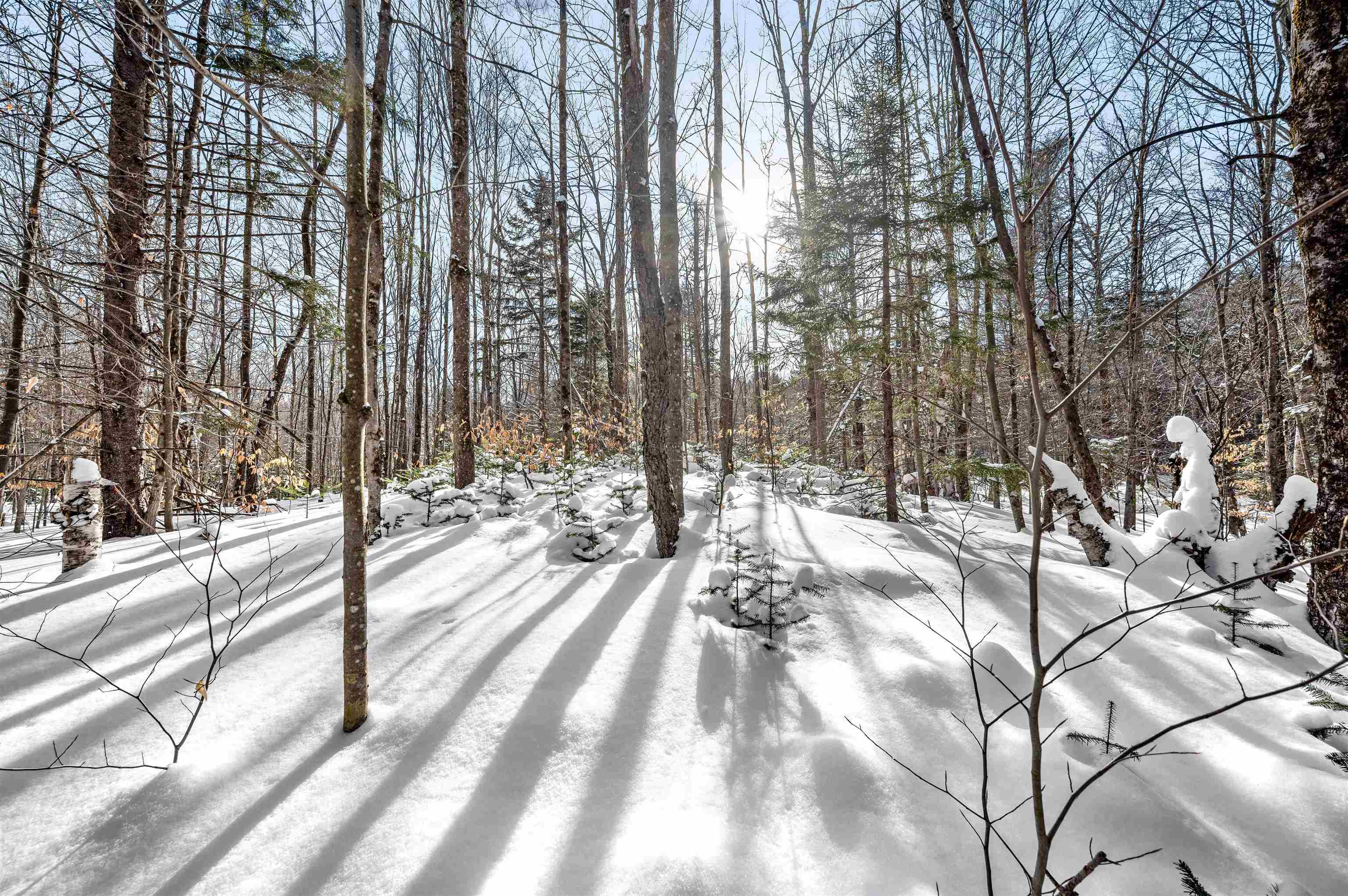 1984 West Hill Road, Unit 2 Warren, VT 05674 - Photo 3 of 22