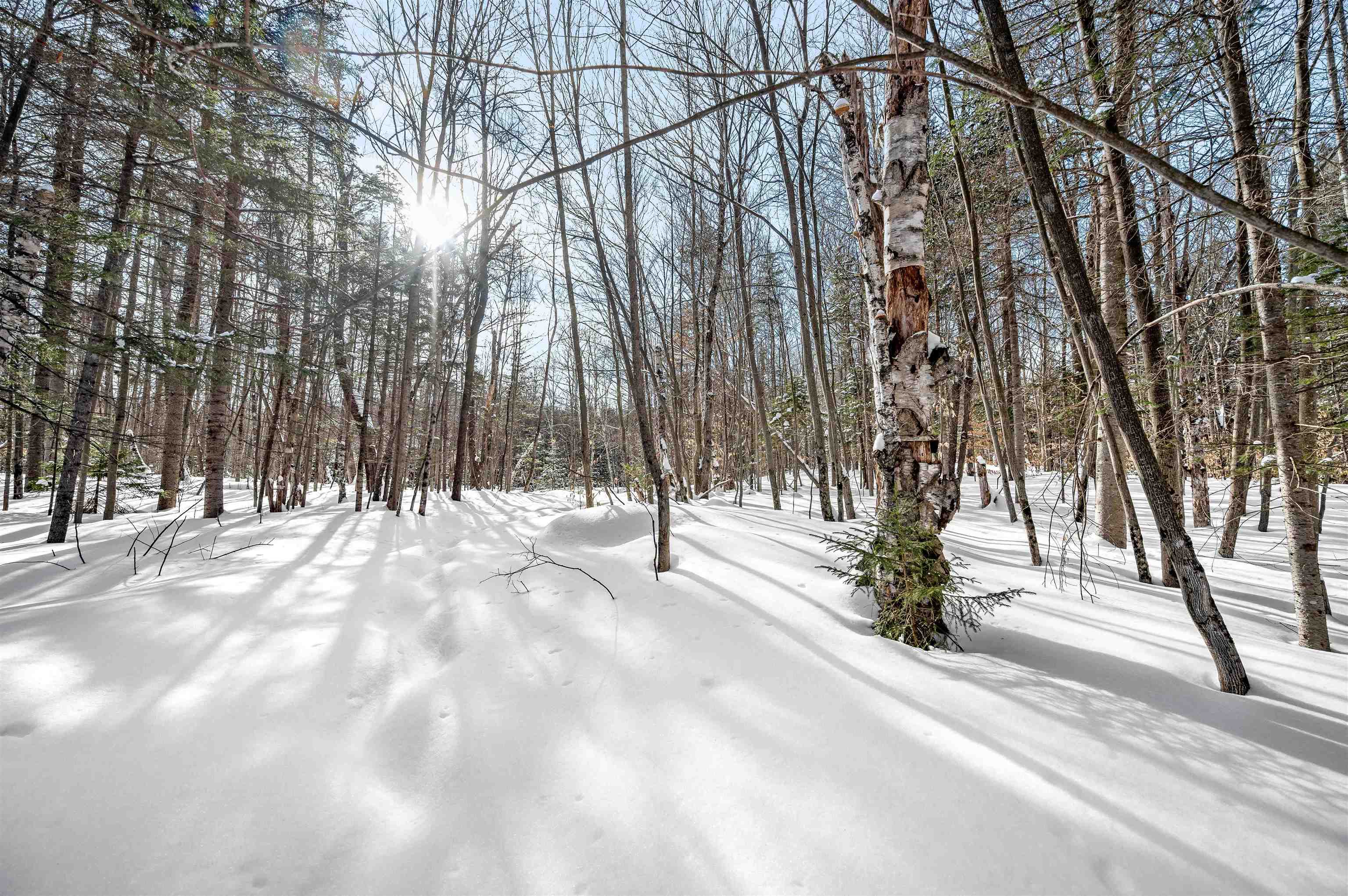 1984 West Hill Road, Unit 2 Warren, VT 05674 - Photo 6 of 22