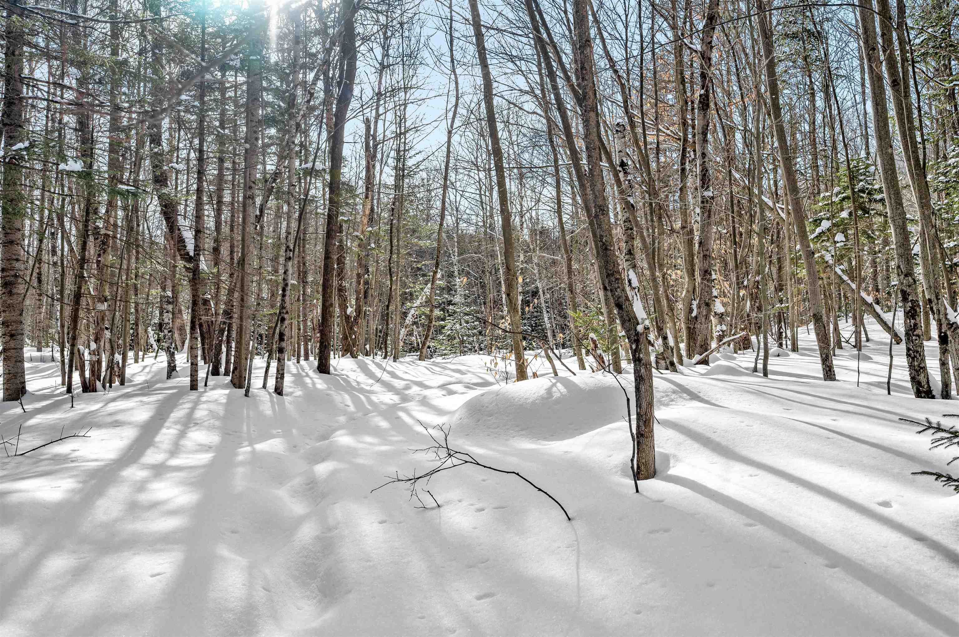 1984 West Hill Road, Unit 2 Warren, VT 05674 - Photo 7 of 22