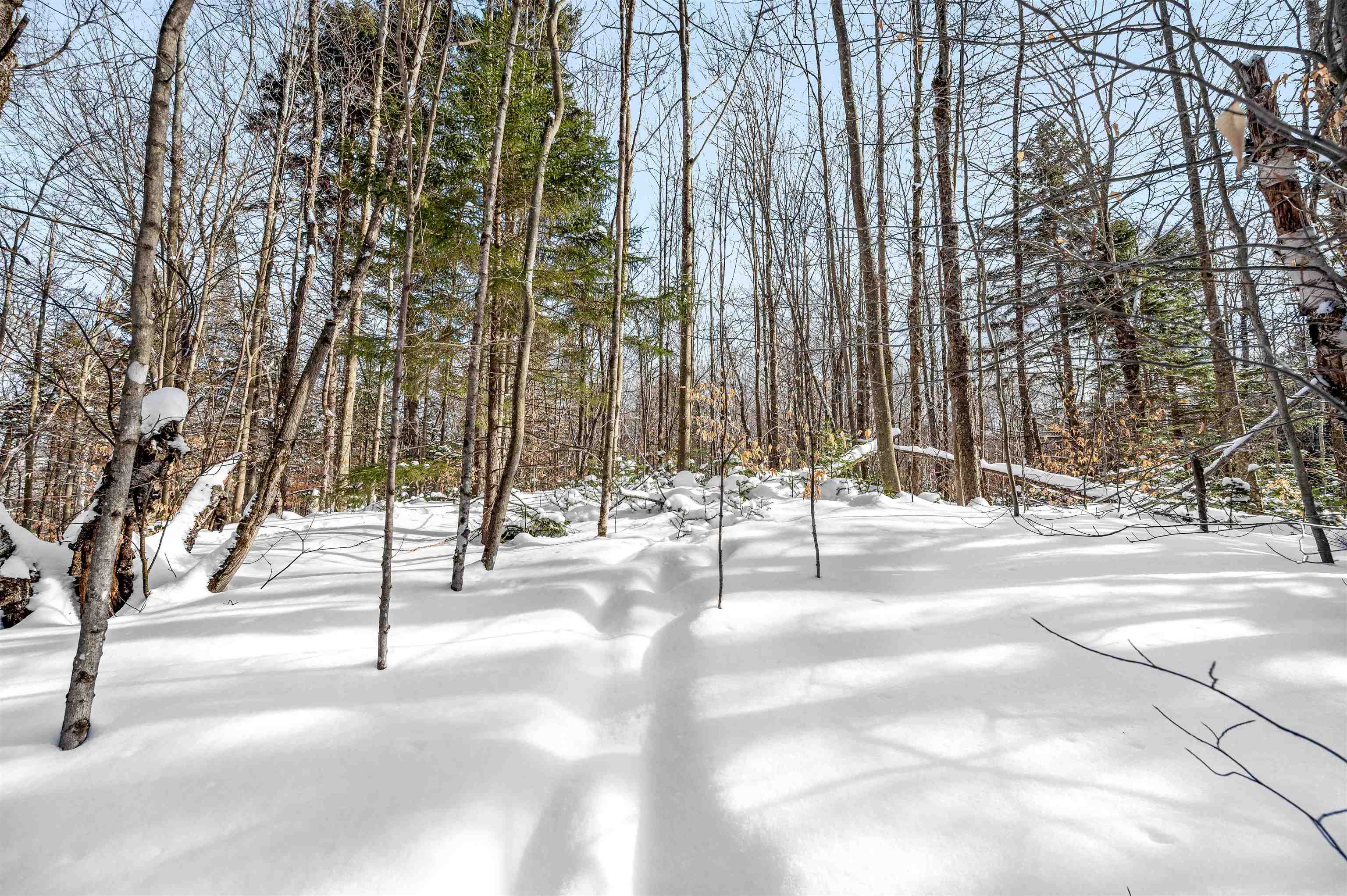 1984 West Hill Road, Unit 2 Warren, VT 05674 - Photo 8 of 22
