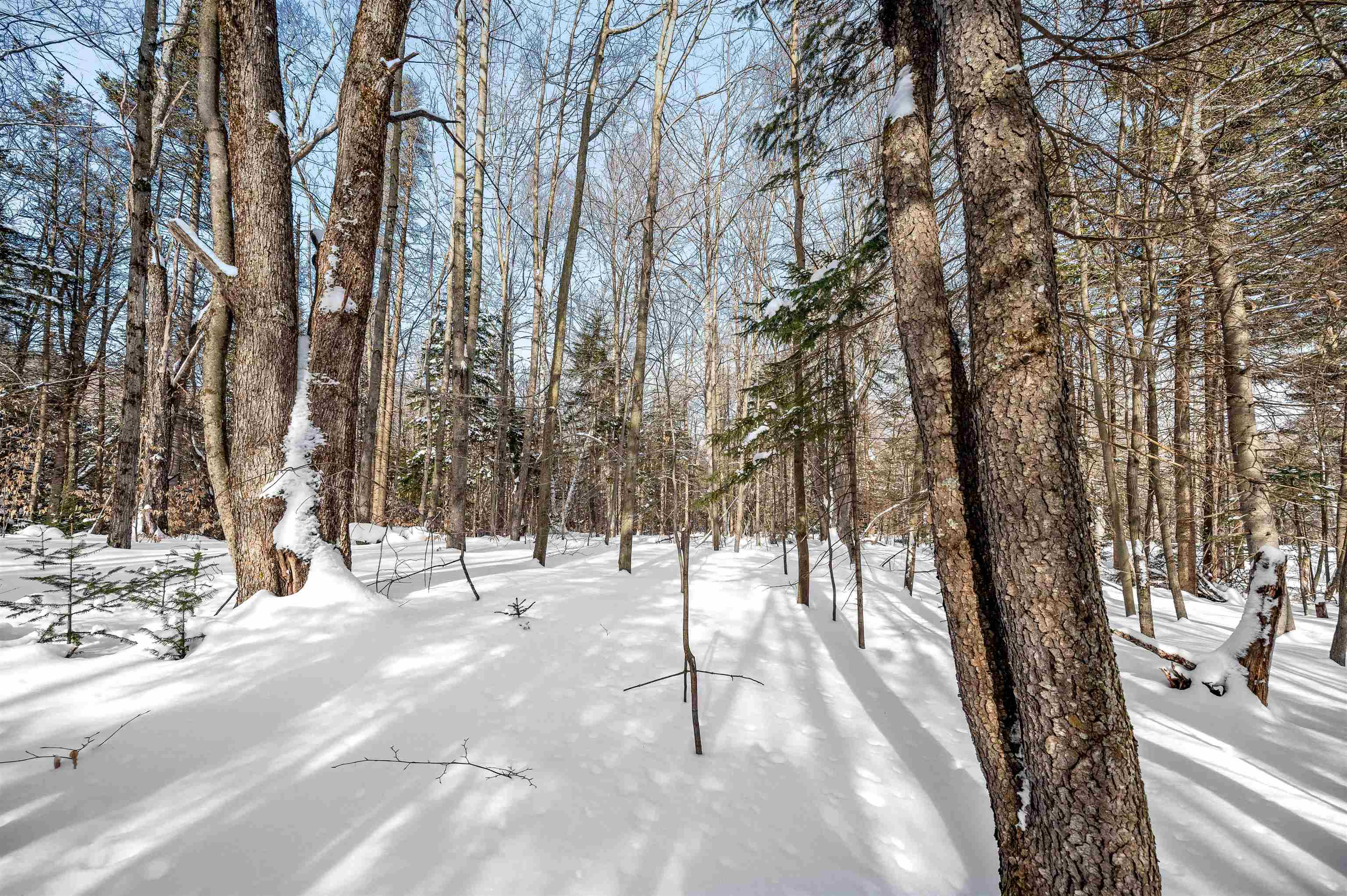 1984 West Hill Road, Unit 2 Warren, VT 05674 - Photo 9 of 22