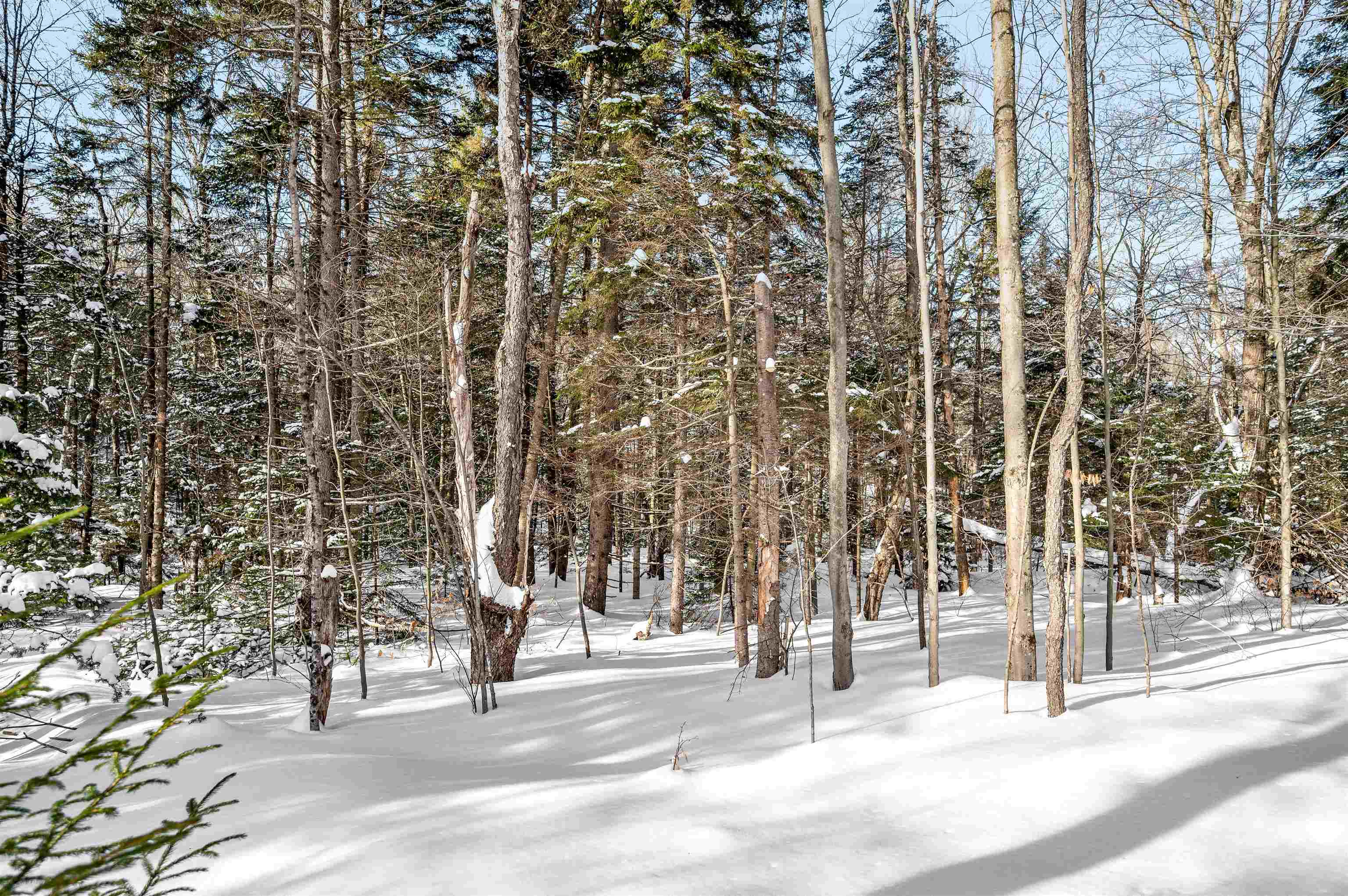 1984 West Hill Road, Unit 2 Warren, VT 05674 - Photo 10 of 22