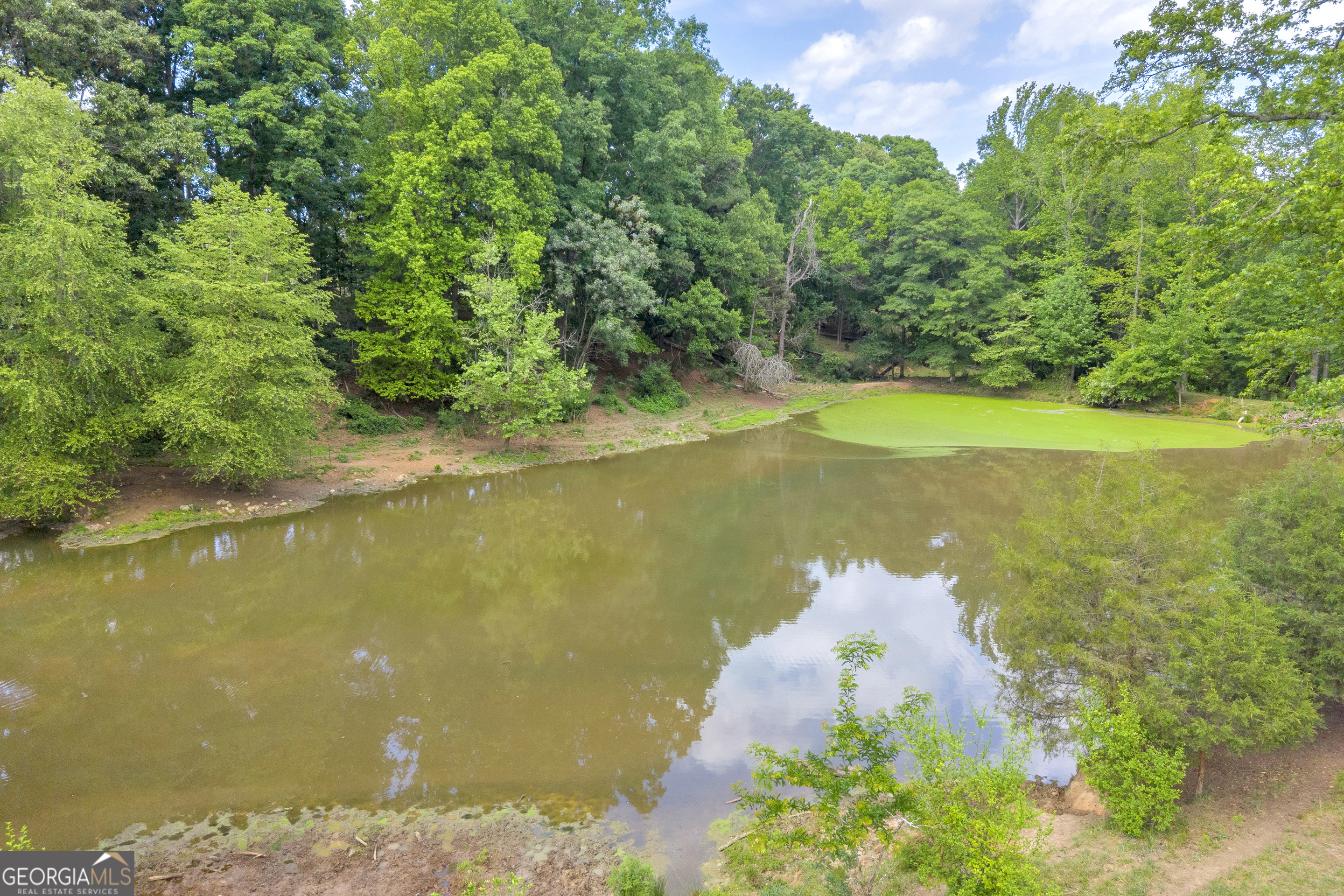 6490 Highway 145 Carnesville, GA 30521 - Photo 19 of 29 a view of a lake with a yard
