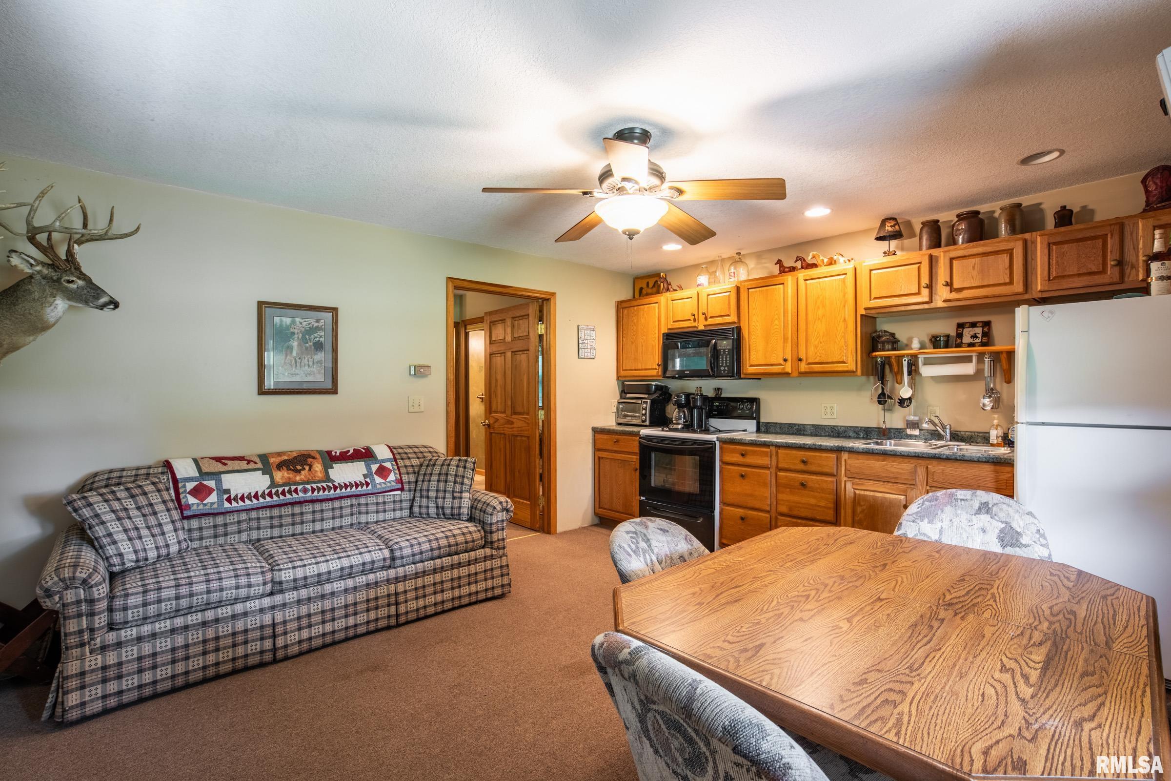10891 Lick Creek Road Buncombe, IL 62912 - Photo 27 of 31
