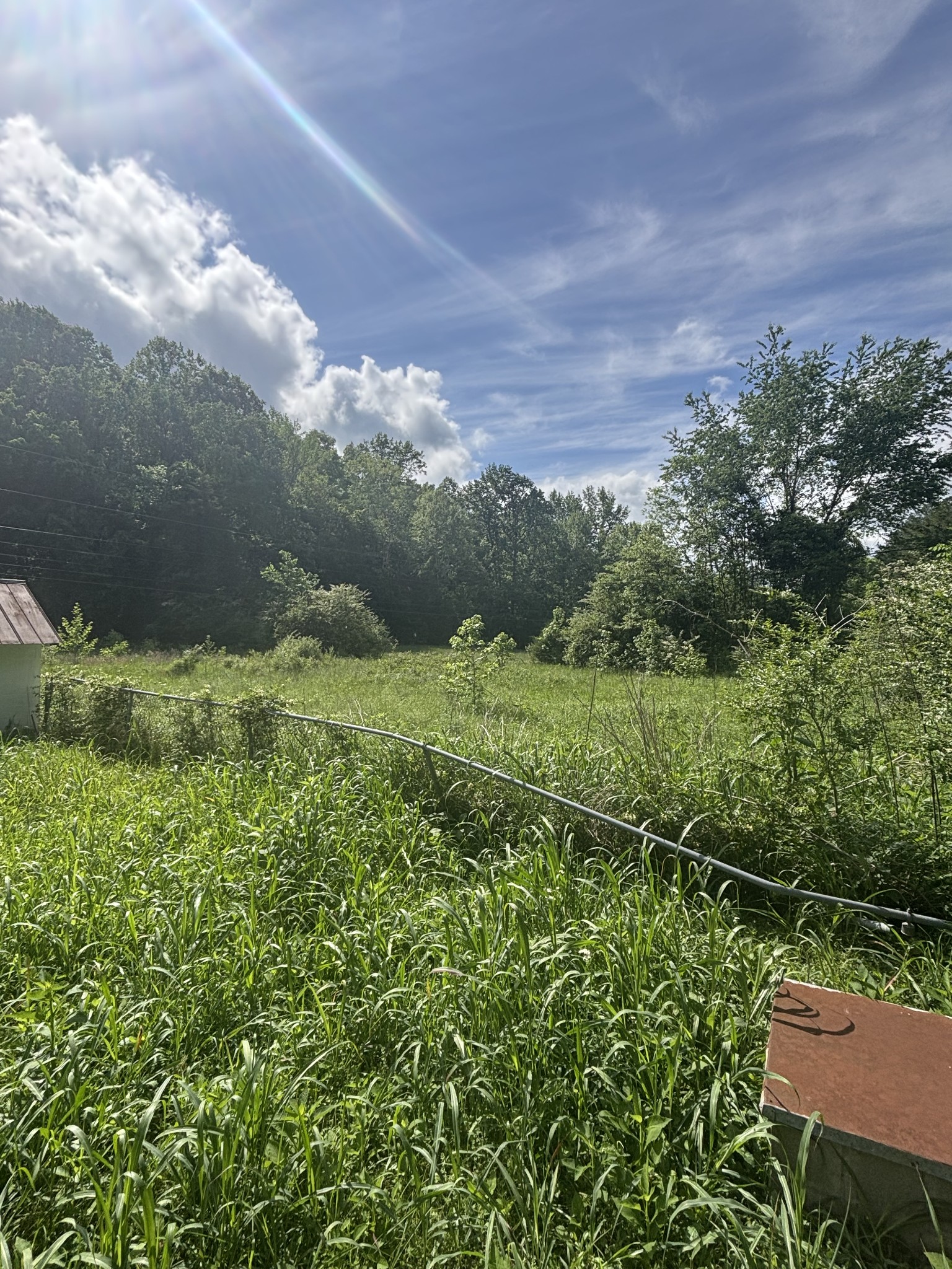 1501 Hatcher Hollow Road McEwen, TN 37101 - Photo 13 of 19 Gallery Image 13