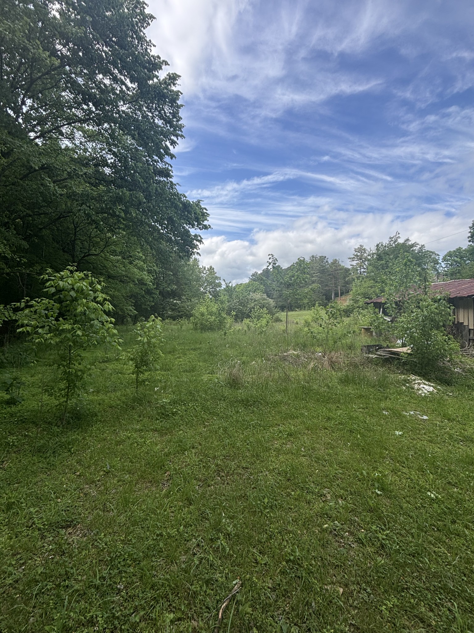 1501 Hatcher Hollow Road McEwen, TN 37101 - Photo 18 of 19 Gallery Image 18