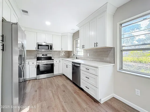 a kitchen with a sink and a potted plant on the counter