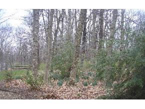 3220 North Ramble Road East Bloomington, IN 47408 - Photo 3 of 15 Gallery Image 3