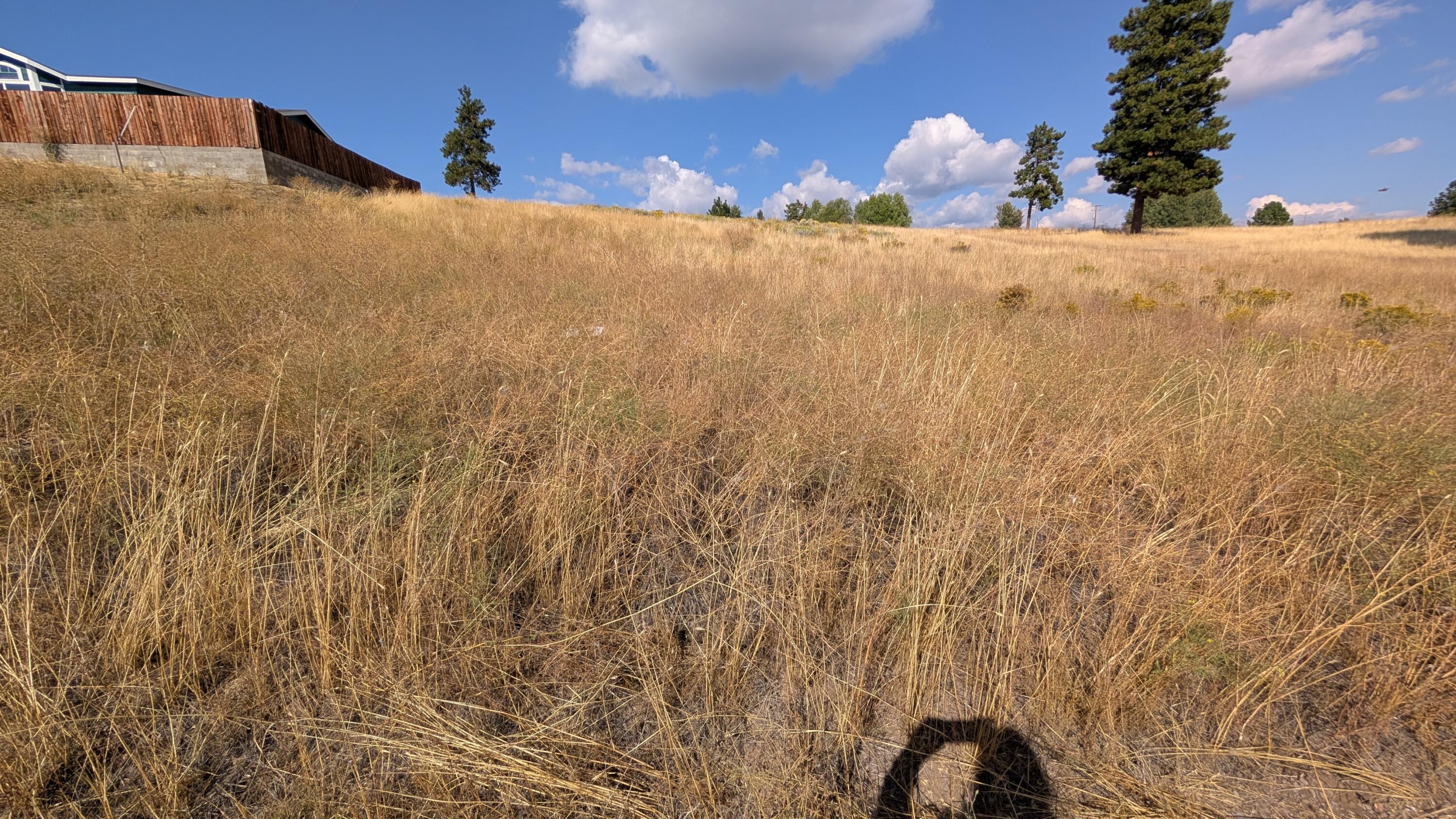Cloutier Drive, Unit 8 Chiloquin, OR 97624 - Photo 3 of 5 1000007675