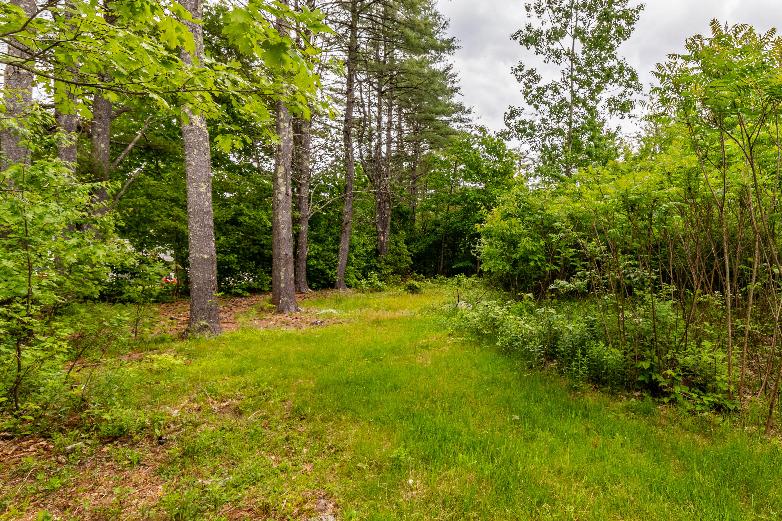 103 Rocky Dundee Road Buxton, ME 04093 - Photo 99 of 105 20240530ms-81108