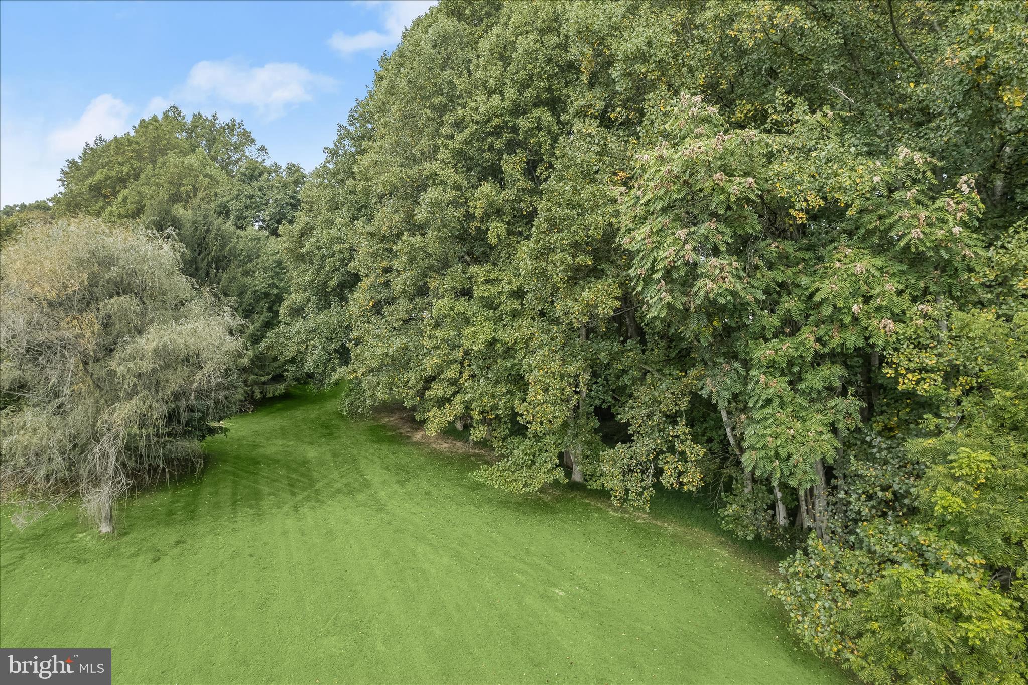 20521 Riggs Hill Way Brookeville, MD 20833 - Photo 111 of 122 Beautiful Mature Grounds