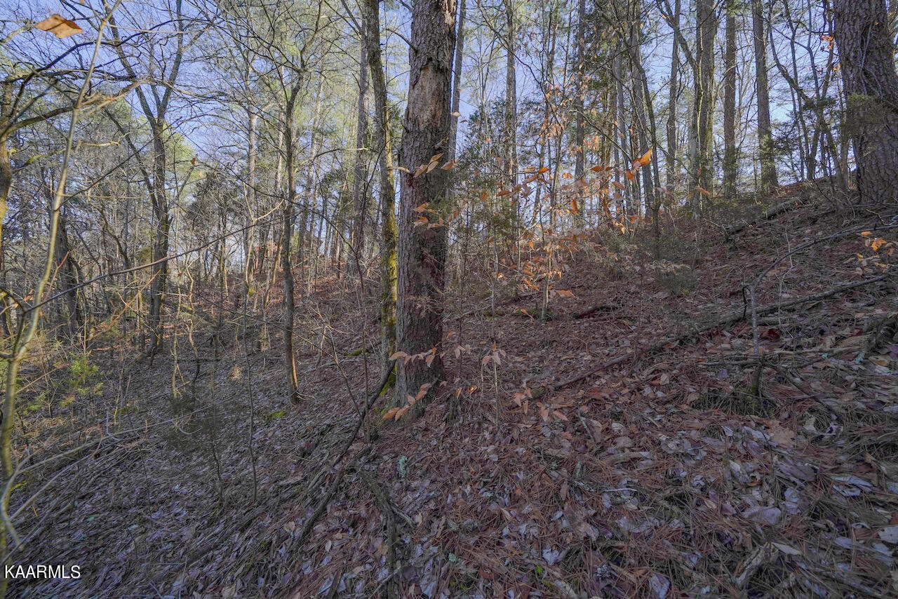 151 South New Era Road Sevierville, TN 37862 - Photo 6 of 10 Gallery Image 6