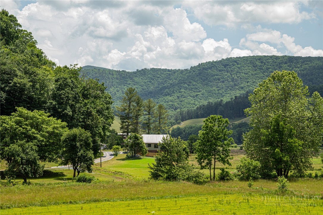 790 Howard Edmisten Road Sugar Grove, NC 28679 - Photo 4 of 45 a view of a garden
