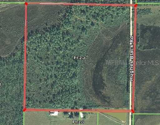 15571 Hughes Black Road Punta Gorda, FL 33982 - Photo 1 of 1 a view of a forest