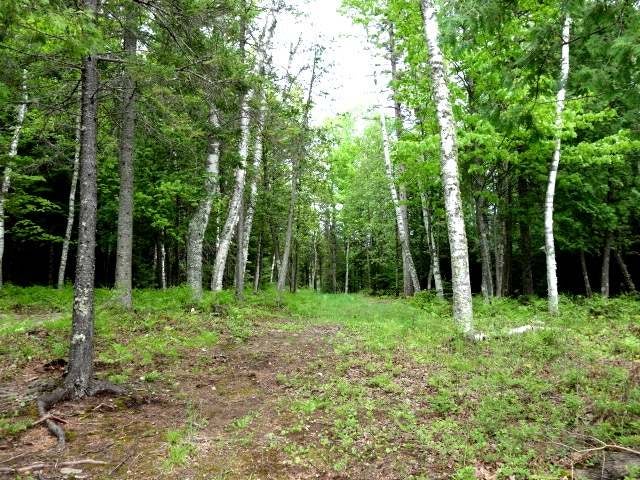 Lot 2 Murphy Lake Road Presque Isle, WI 54557 - Photo 10 of 13 Gallery Image 10