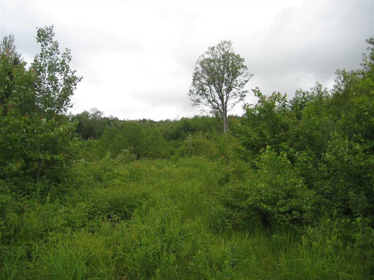 Lot 19 Snyder Brook Road Westfield, VT 05874 - Photo 2 of 5 Gallery Image 2