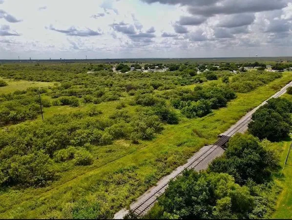 a view of a bunch of plants and trees