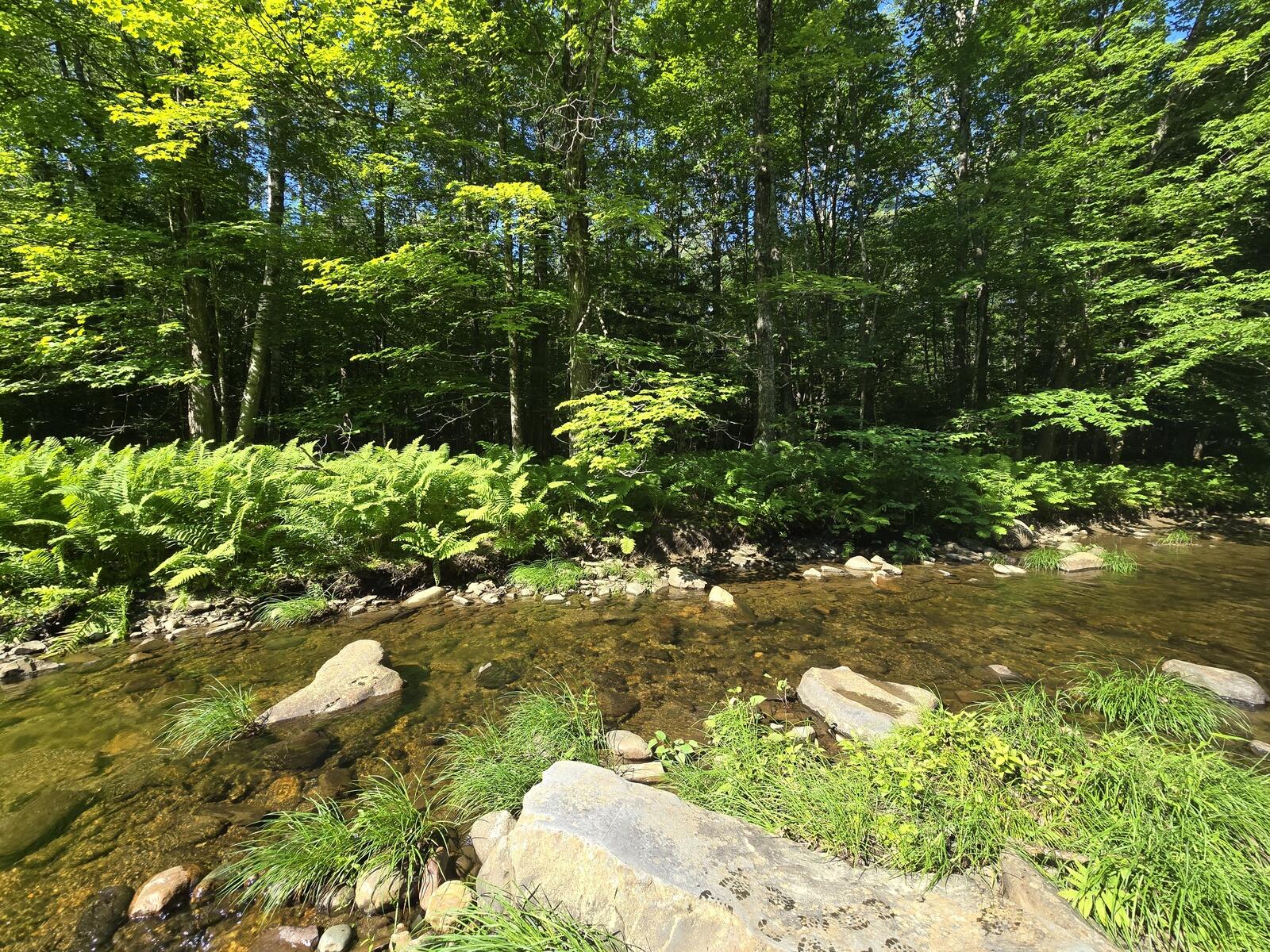 Lot 67 Temple Road Temple, ME 04984 - Photo 25 of 37 20260629_093053