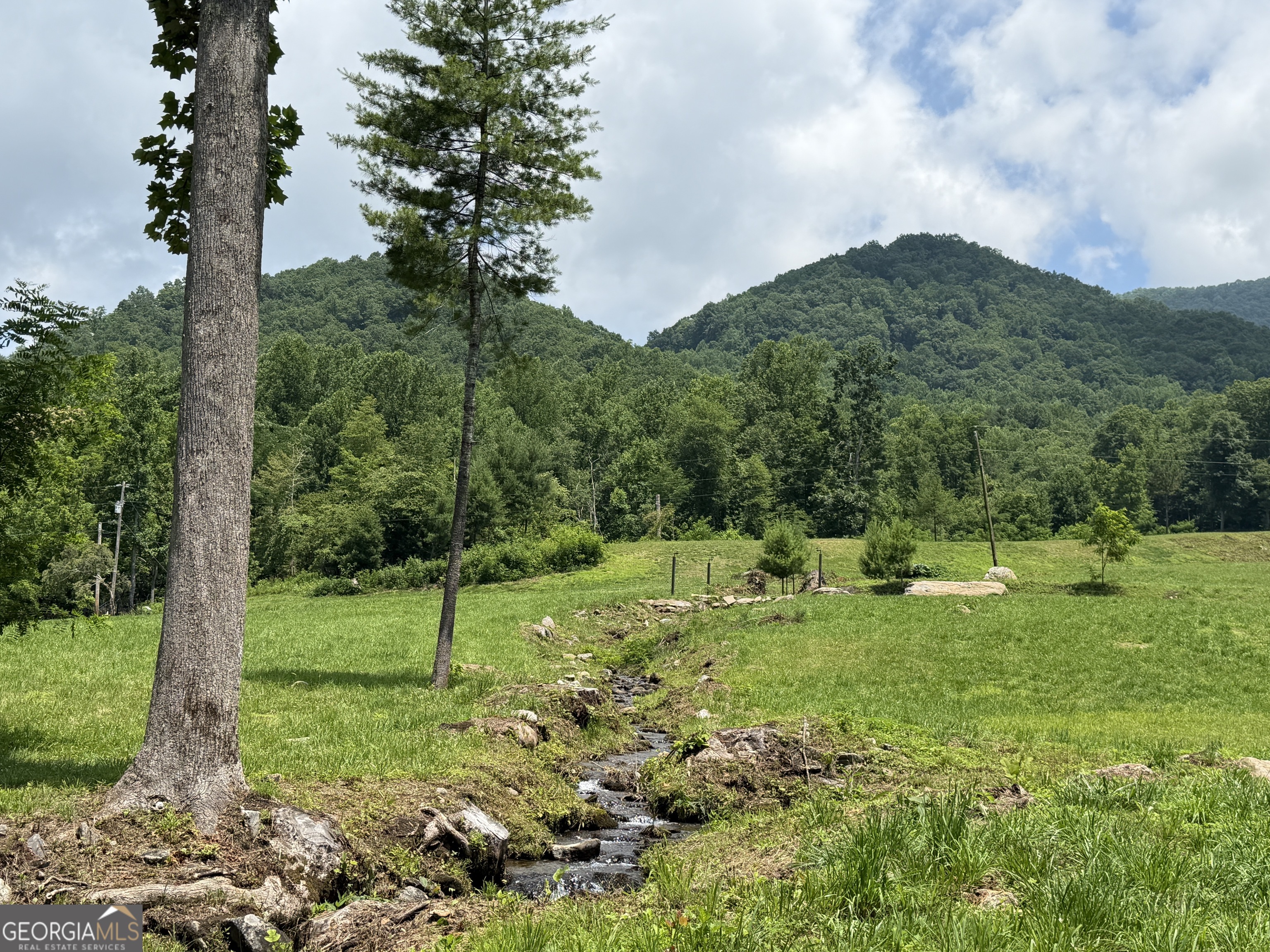 1449 Muskrat Creek Road Hayesville, NC 28904 - Photo 62 of 95