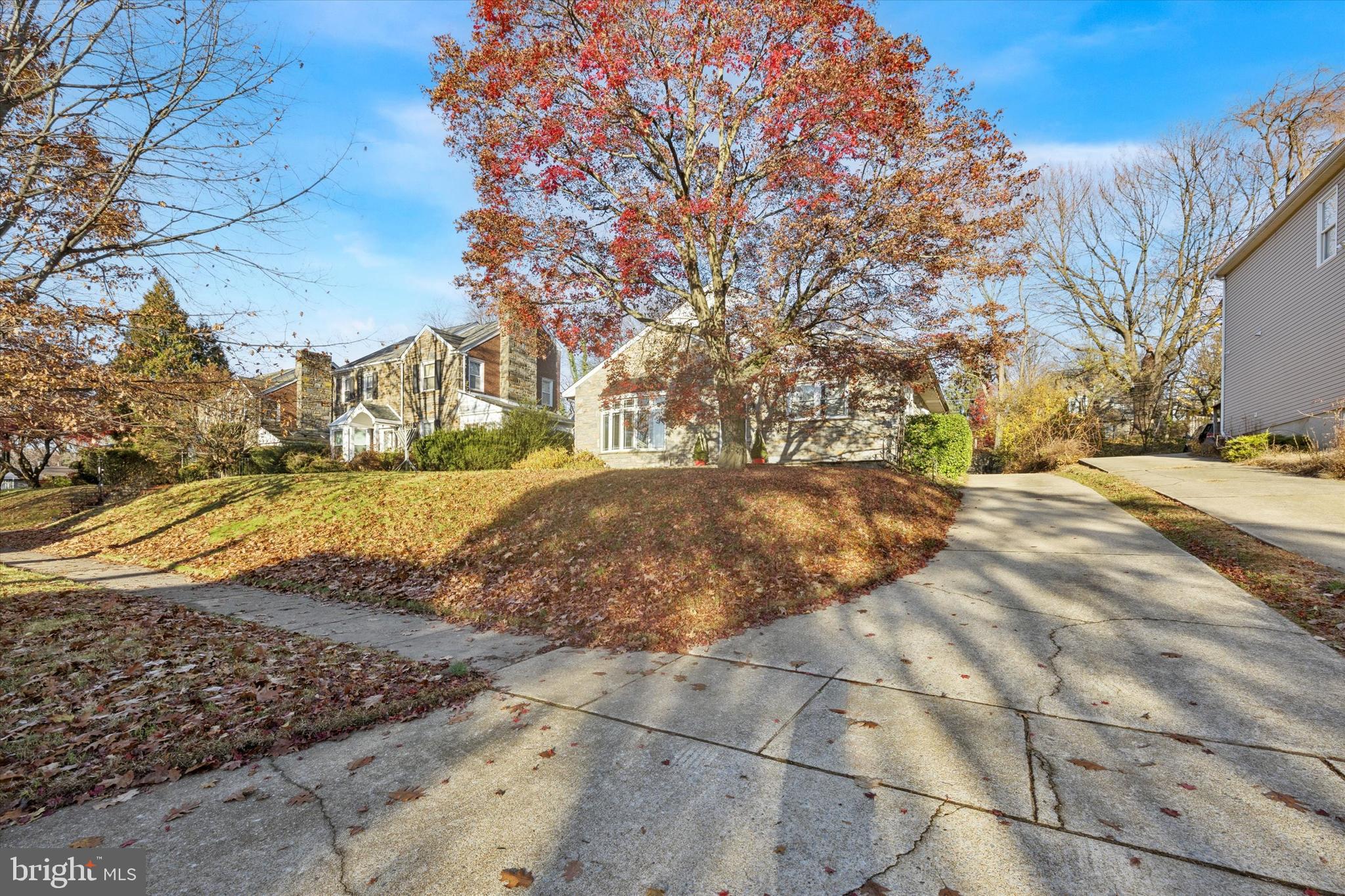a view of dirt yard with a large tree