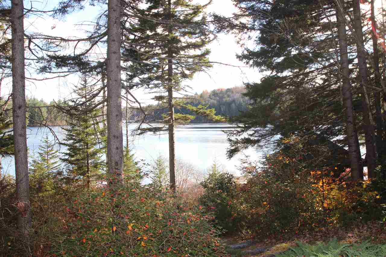 770 Halfmoon Pond Road Washington, NH 03280 - Photo 35 of 37 Gallery Image 35