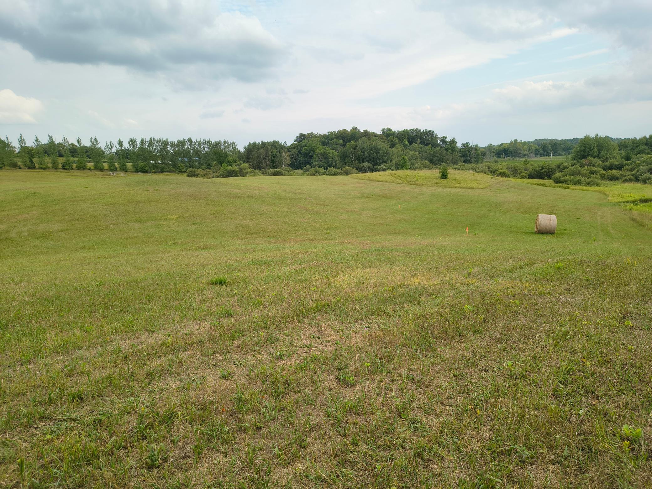 Tbd Buckskin Road Northeast Alexandria, MN 56308 - Photo 3 of 12 Gallery Image 3