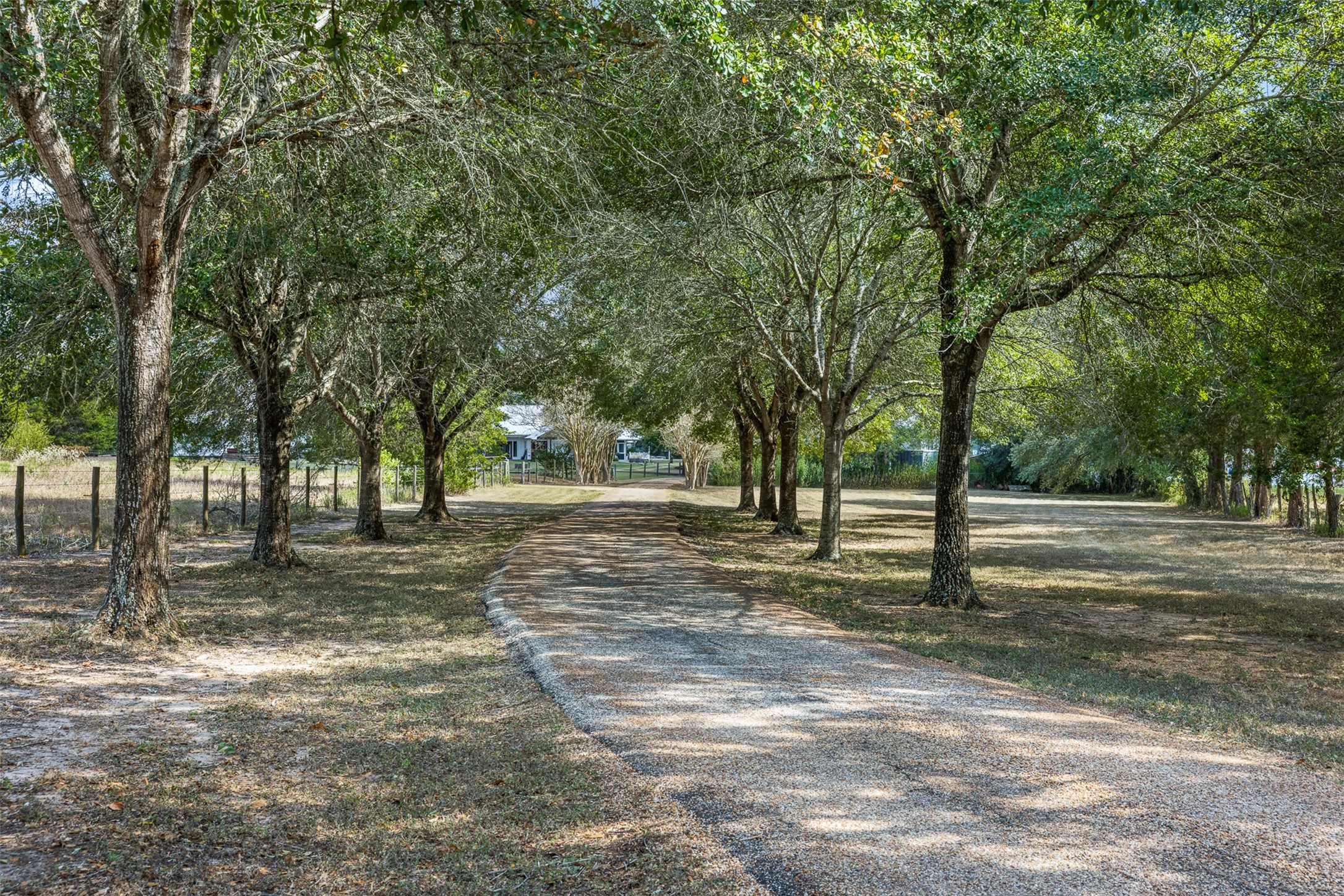 1440 Highway 237 Round Top, TX 78954 - Photo 7 of 29