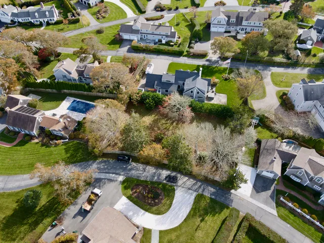 a view of a garden with trees