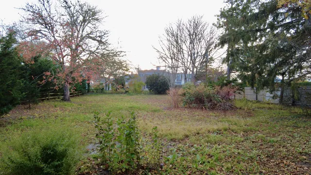 a view of a yard with large trees