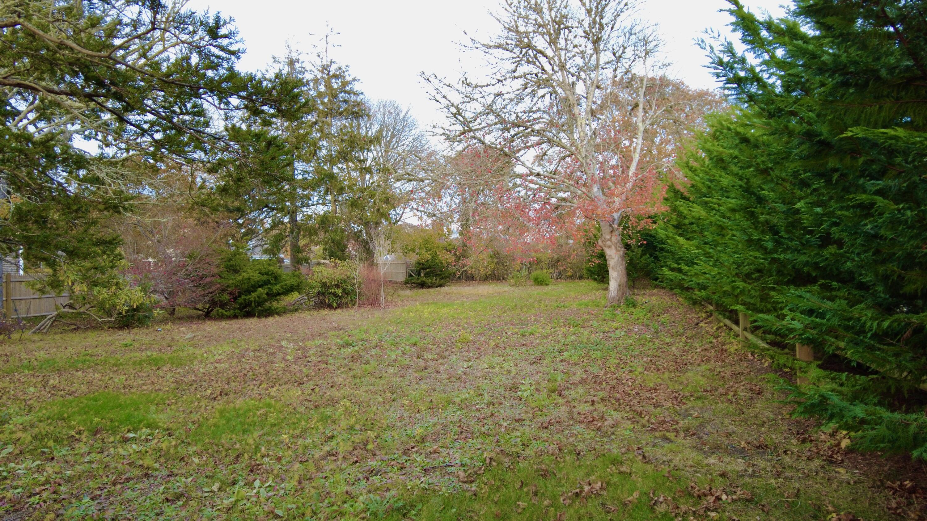 19 Riverway West Harwich, MA 02671 - Photo 8 of 15 a view of a yard with large trees