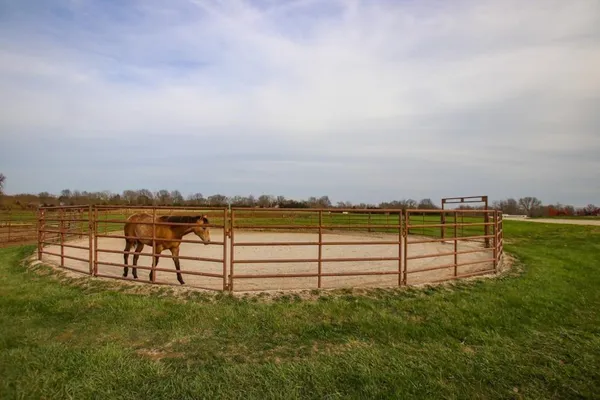 $875,000 | 22299 Sacajawea Road, Sedalia, MO 65301