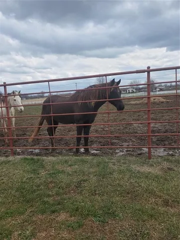 $875,000 | 22299 Sacajawea Road, Sedalia, MO 65301