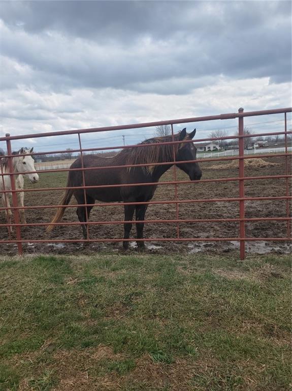 22299 Sacajawea Road Sedalia, MO 65301 - Photo 23 of 48
