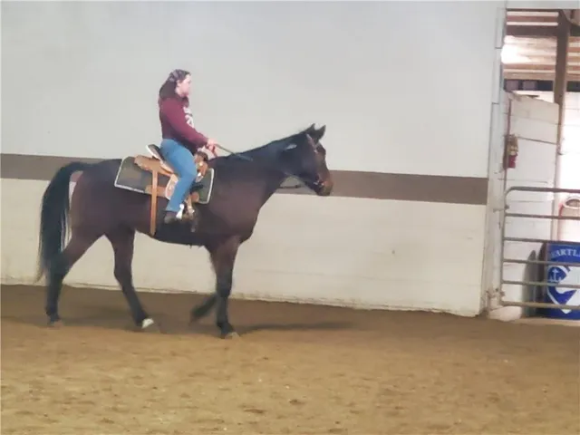 $875,000 | 22299 Sacajawea Road, Sedalia, MO 65301