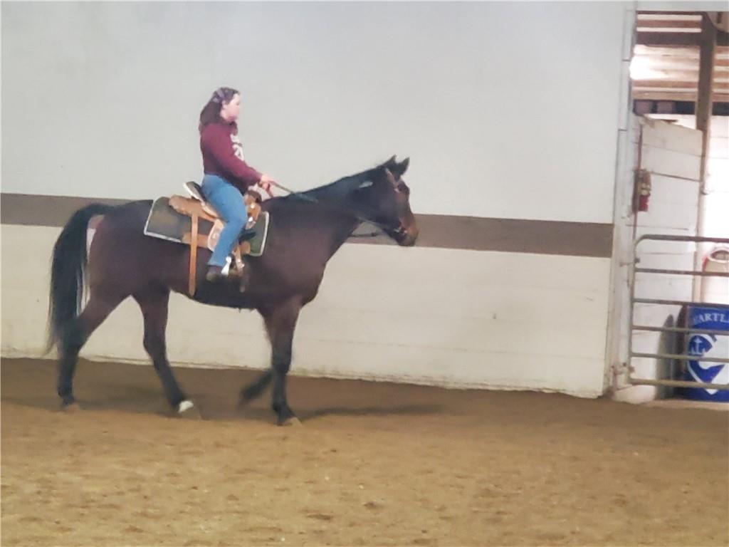 22299 Sacajawea Road Sedalia, MO 65301 - Photo 24 of 48