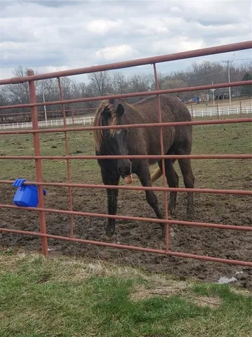 $875,000 | 22299 Sacajawea Road, Sedalia, MO 65301