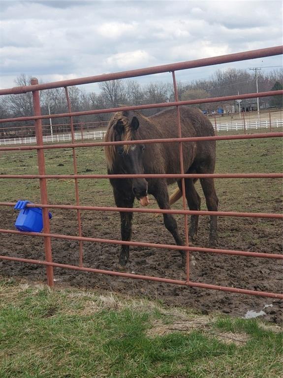 22299 Sacajawea Road Sedalia, MO 65301 - Photo 25 of 48