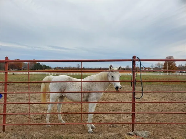 $875,000 | 22299 Sacajawea Road, Sedalia, MO 65301