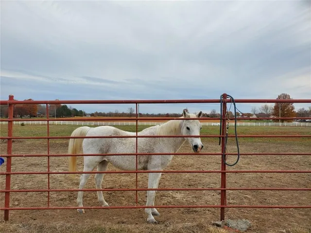 $875,000 | 22299 Sacajawea Road, Sedalia, MO 65301