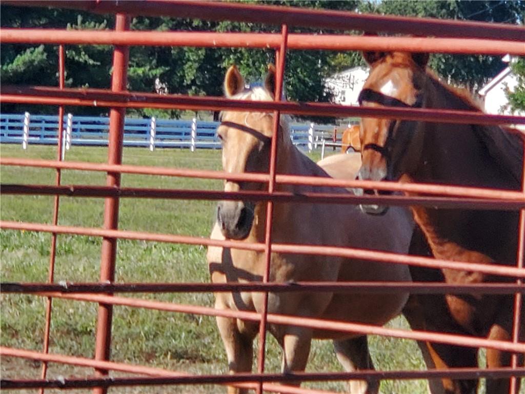 22299 Sacajawea Road Sedalia, MO 65301 - Photo 34 of 48