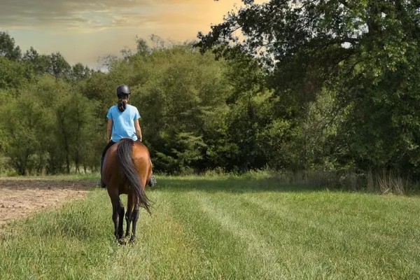 $875,000 | 22299 Sacajawea Road, Sedalia, MO 65301