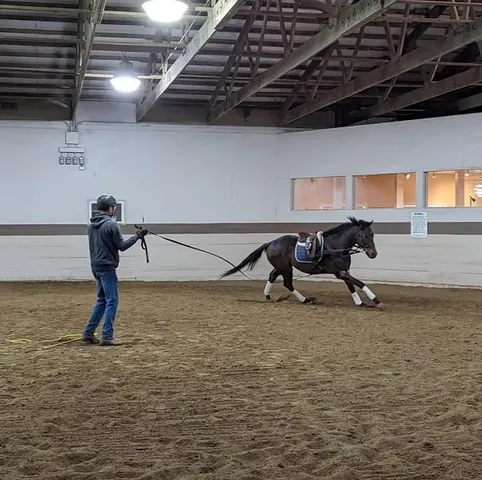 $875,000 | 22299 Sacajawea Road, Sedalia, MO 65301