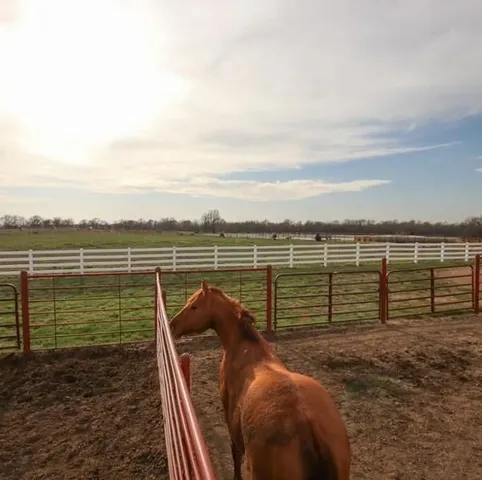 $875,000 | 22299 Sacajawea Road, Sedalia, MO 65301